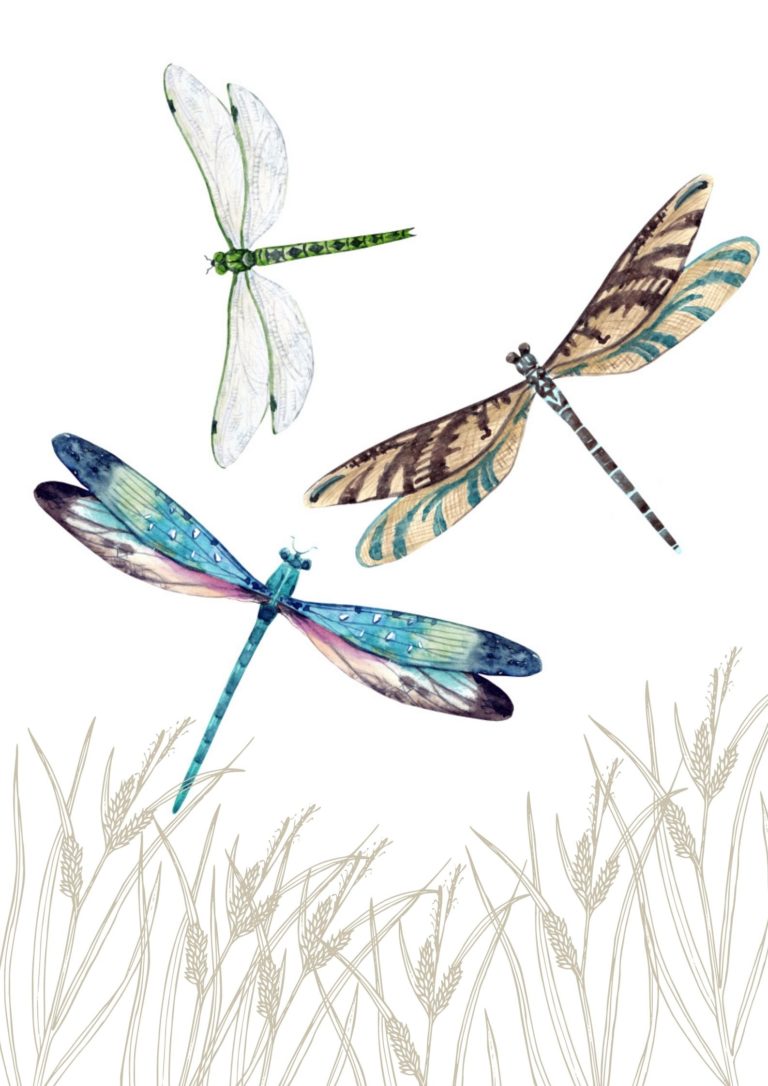 dragonfly motif