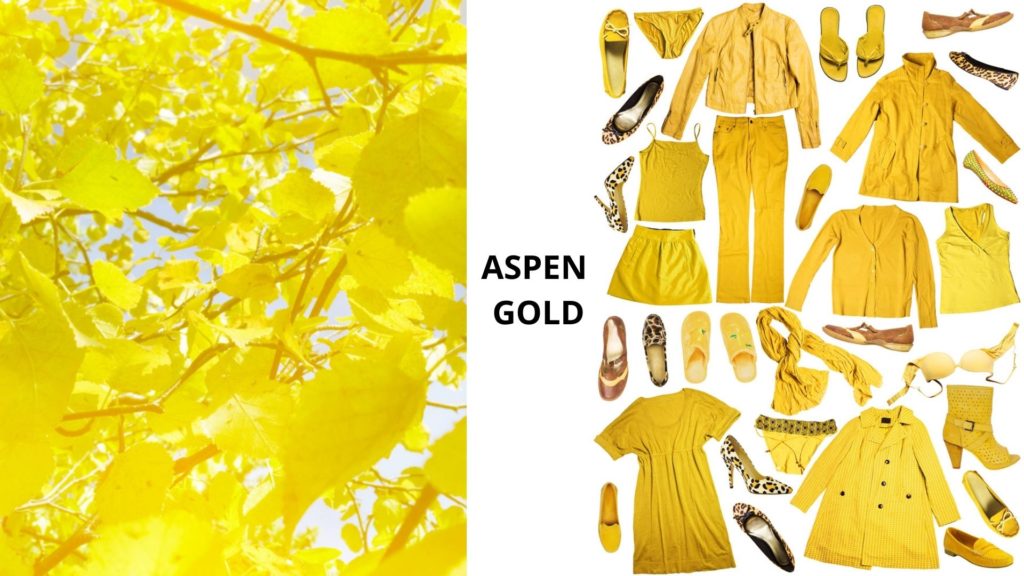 aspen gold
